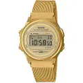 Casio A171wemg-9aef Dameur