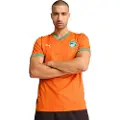 Puma Côte d'Ivoire 2025 Home Jersey Men, Clothing, Rickie Orange/Jade Frost, XL