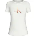 Calvin Klein Gradient T-shirt Med Korte ærmer