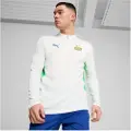 Puma Psv Eindhoven 24/25 Træning Sweatshirt Med Lynlås