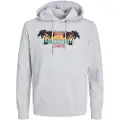 Jack & Jones Summer Vibe Hættetrøje