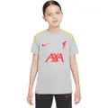 Nike Kortærmet Liverpool FC Strike Third Nike Dri-FIT-fodboldoverdel i maskinstrik til større børn - grå
