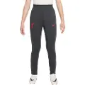 Nike Liverpool FC Strike Third Nike Dri-FIT-fodboldbukser til større børn - grå