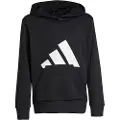 Adidas Essentials Big Logo Hættetrøje