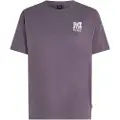 O'Neill Surf Heroes Loose T-shirt Med Korte ærmer