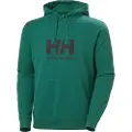 Helly Hansen Logo 2.0 Hættetrøje