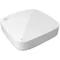 Extreme networks Ap305c-wr 2x2 Radios 5ghz1xgbe Wifi-adgangspunkt
