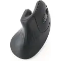 Gembird Ergonomic 6-button wireless optical mouse - Ergonomisk mus - Optisk - 6 knapper - Sort