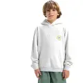 Quiksilver Graphic Kids Hættetrøje grå