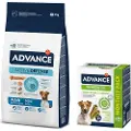 Affinity Mini Adult med kylling og ris hundefoder