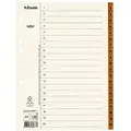 Esselte Register Servo A4/1-20, 10 stk. 69877 Modsvarer: N/A