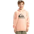 Quiksilver Big Logo Hættetrøje