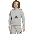 Adidas Future Icons Logo Hættetrøje