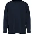 Name It Mini Regular Fit Top Med Lange Ærmer