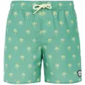 Protest Fonz Badeshorts