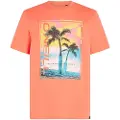 O'Neill Jack Neon T-shirt Med Korte ærmer
