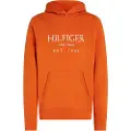 Tommy Hilfiger Big Hættetrøje