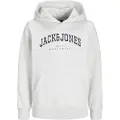 Jack & Jones Caleb Varsity Hættetrøje