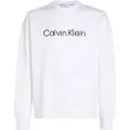 Calvin Klein K10k112956 Sweatshirt