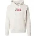 Jack & Jones Corp Graphic Hættetrøje