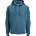 Jack & Jones Star Hættetrøje