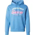 Jack & Jones Logo 2 Col Hættetrøje