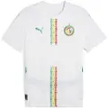 Puma Senegal 2025 Home Jersey Men, Clothing, White/Sport Green, XS