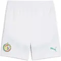 Puma Senegal 2025 Shorts Men, Clothing, White/Sport Green, S