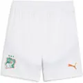 Puma Ivory Coast 2025 Shorts Men, Clothing, White/Dark Myrtle, XXL