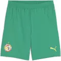 Puma Senegal 2025 Shorts Men, Clothing, Sport Green/Electric Lime, 3XL