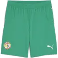 Puma Senegal 2025 Shorts Men, Clothing, Sport Green/White, XL