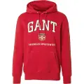 Gant Graphic Hættetrøje