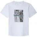 Pepe Jeans Wilbert T-shirt Med Korte ærmer