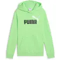 Puma Ess 2 Color Nº1 Logo Hættetrøje