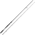 Westin W10 Spinnestang