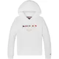 Tommy Hilfiger Multi Flag Regular Fit Hættetrøje