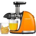 Amzchef 1501 150w Saftpresser