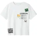 Name it Minecraft T-shirt