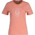 Gant Reg Logo T-shirt Med Korte ærmer