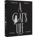 Printworks Fotoalbum A CAT´S LIFE, sort, Printworks