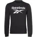 Reebok Ri Flc Big Logo Crew Sweatshirt