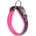 Ferplast Sport 25 Mm 45 Cm Hundehalsbånd