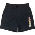 Quiksilver Spl Fineline Volley 14 Badeshorts