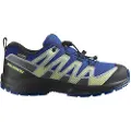 Salomon Xa Pro V8 Wp Vandresko