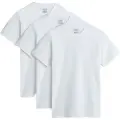 Vans Basic T-shirt Med Korte ærmer 3 Enheder