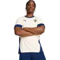 Puma Fpf Portugal Træning T-shirt Med Korte ærmer