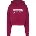 Tommy Hilfiger Dw0dw20306 Hættetrøje