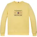 Tommy Hilfiger Flag Sweatshirt