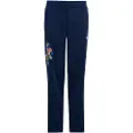 Adidas Originals X Liberty London Firebird Træningsbukser