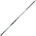 SERT Fish Instinct Memory Telefloat Bolognesestang